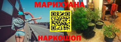 трава Тара