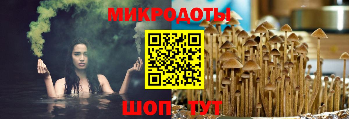 Псилоцибиновые грибы MAGIC MUSHROOMS  Галлюциногенные грибы MAGIC MUSHROOMS  Вход с VPN  Иркутск 